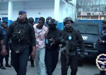 SECURITE- 21 Milliards dans la nature : quand les frontières tombent, la justice avance