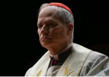 RELIGION- Sous le ciel de Rome, la surprise américaine : le cardinal Robert Prevost devient Léon XIV