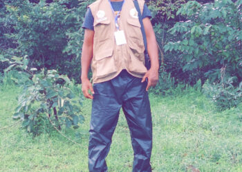 ACTUALITES- Le cimetière oublié de Timbo : la mémoire enterrée deux fois