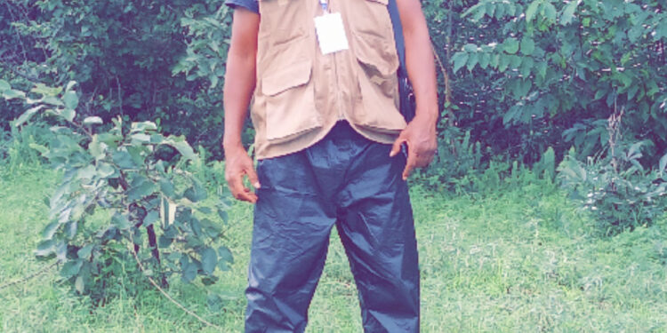 ACTUALITES- Le cimetière oublié de Timbo : la mémoire enterrée deux fois