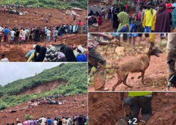 ACTUALITES- Éboulement meurtrier à Manéah : quand la solidarité ne suffit plus