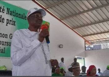 POLITIQUE- PUP : Fodé Bangoura honore les anciens militants et met en garde contre l’usage abusif des symboles du parti