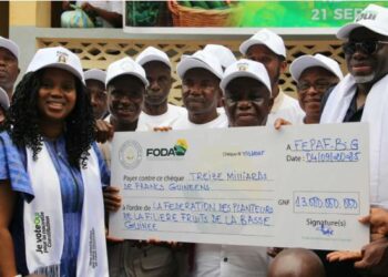 AGRICULTURE- Ananas de Kindia : Mariama Ciré Sylla mise sur la renaissance agricole