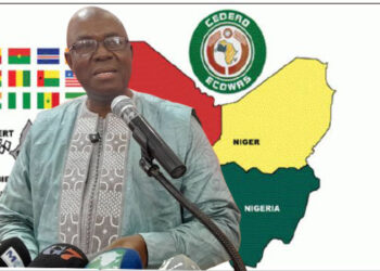 POLITIQUE- Mission de la CEDEAO en Guinée : Faya Millimouno doute et dénonce une institution « affaiblie »