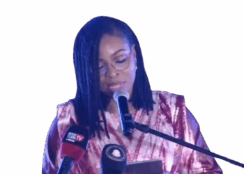 ACTUALITES- Internet en Guinée : un pas de géant, mais le vrai défi commence