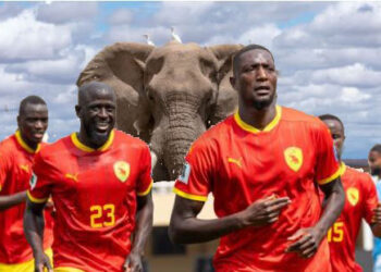 SPORT/FOOT- Syli rugissant : la Guinée dompte la Somalie et garde ses rêves de Mondial vivants