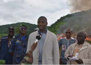 SANTE- Guinée : Quatre ans de lutte sans merci contre les faux médicaments