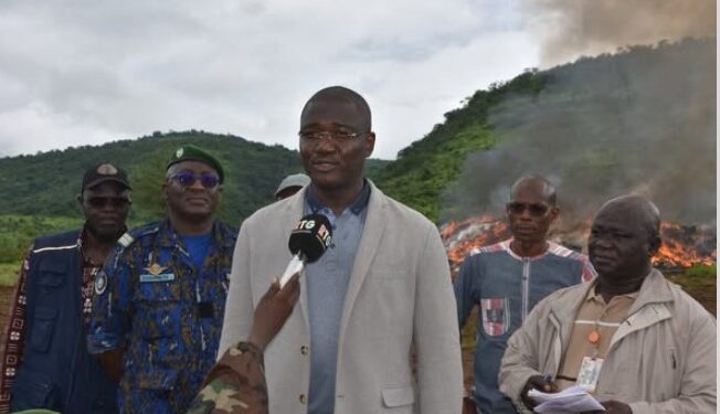 SANTE- Guinée : Quatre ans de lutte sans merci contre les faux médicaments