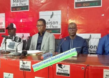 ENVIRONNEMENT- Guinée : l’AGEE sonne l’alerte et appelle à une mobilisation nationale pour l’environnement