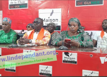 ACTUALITES- Nouvelles Forces Démocratiques : le nouveau président intérimaire prône l’unité et la transparence