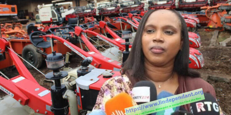 ACTUALITES-  Agriculture guinéenne : la révolution des champs est en marche !