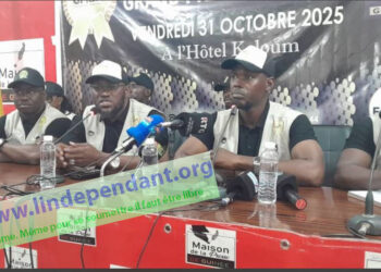ACTUALITES- Guinée : un Grand Prix du Mérite pour célébrer les artisans de la nouvelle Constitution