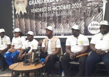 ACTUALITIES- Grand Prix du Mérite (GPRIM) : les Médias Publics et Privés célèbrent les artisans du changement