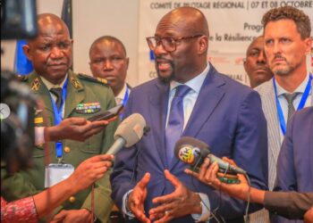 ACTUALITES- Présidentielle 2025 : le gouvernement promet un scrutin “inchangé et irréprochable” le 28 décembre