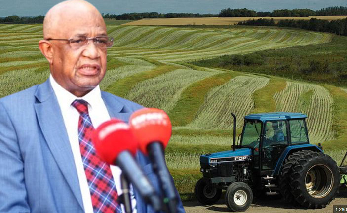 AGRICULTURE- Quand Abé Sylla parie sur la terre pour nourrir l’ambition présidentielle