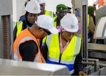 ECONOMIE- Relance industrielle : la ministre Diaka Sidibé inspecte l’usine Pita Frozen à Mamou