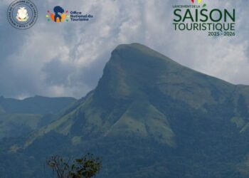 ENVIRONNEMENT-  N’Zérékoré, le Poumon Vert de la Guinée : quand la forêt écrit l’avenir du tourisme