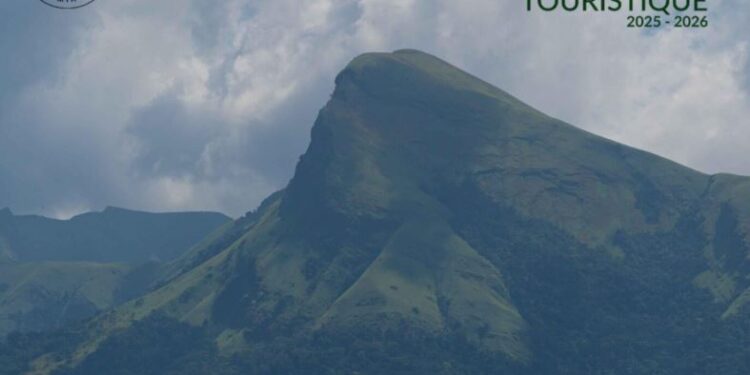 ENVIRONNEMENT-  N’Zérékoré, le Poumon Vert de la Guinée : quand la forêt écrit l’avenir du tourisme