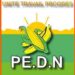 POLITIQUE- Présidentielle 2025 : le PEDN dénonce une « fausse jeunesse » et appelle à un vote libre et responsable