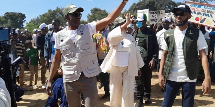 POLITIQUE- À Pita, Saïdou Bimbiriko Barry, l’homme-orchestre d’une campagne victorieuse du GMD