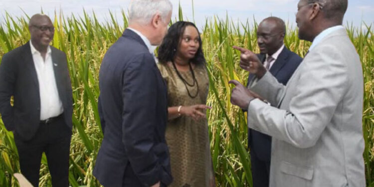 ACTUALITES -Agriculture : Mariama Ciré Sylla, la ministre qui impose une nouvelle vision et rallie la Banque mondiale à sa stratégie