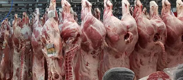 ACTUALITES- Viande trop chère, étals vides : le cri d’alarme des consommateurs