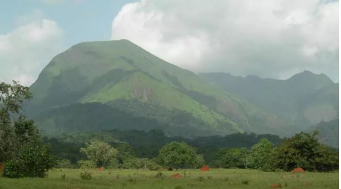 ENVIRONNEMENT- Monts Nimba : le prix du fer, le silence de la forêt