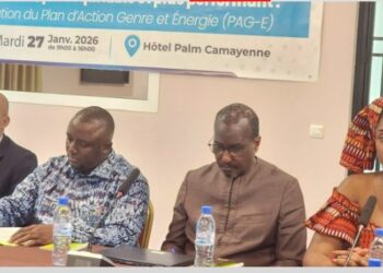 ECONOMIE- Quand l’électricité éclaire aussi les inégalités