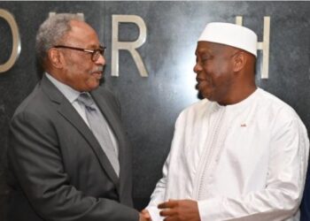 DIPLOMATIE – Retour à l’Union africaine : la Guinée cherche sa rédemption continentale