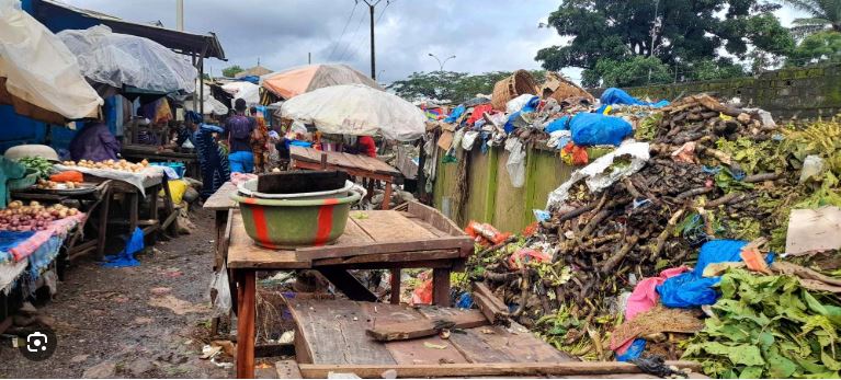 INSALUBRITE- Conakry asphyxiée par l’insalubrité : quand la saleté devient une menace sanitaire publique