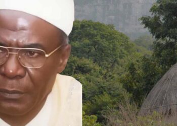 CULTURE- Ama Sow Landho Tâli, le baobab du Fouta que le temps n’a pas abattu