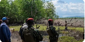 ENVIRONNEMENT- Dubréka : la CRIEF alerte sur une “agression de l’environnement” et menace de sanctions