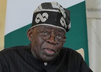 ETRANGER- Violences xénophobes : le Nigeria suspend ses visites parlementaires en Afrique du Sud